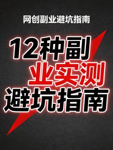 普通人做副业避坑指南:12种项目实测,这10种千万别碰!-元界资源网